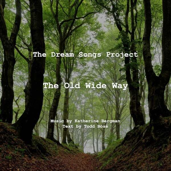 Cover art for The Old Wide Way